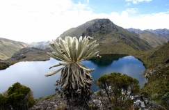 Colombian paramos, threatened by Eco Oro mining project