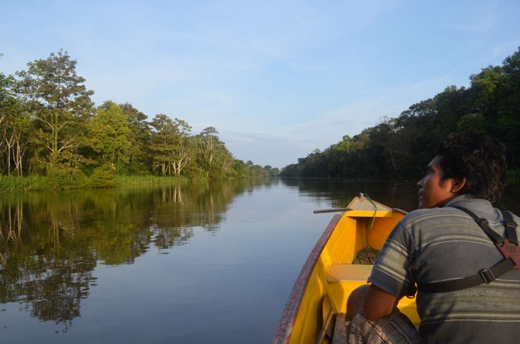The Verdict Is In: To Comply with the Law, COP30 Must Deliver – Center for International Environmental Law | CIEL
