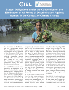 Read the report - States' Obligations under the Convention on All Forms of Discrimination Against Women, in the Context of Climate Change