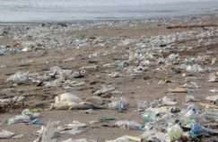 Plastic pollution on beach