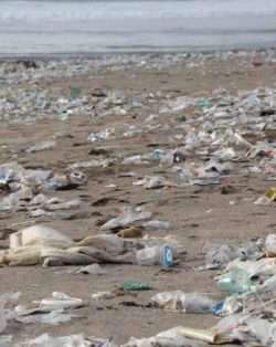 Plastic pollution on beach