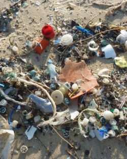 Plastic pollution on beach