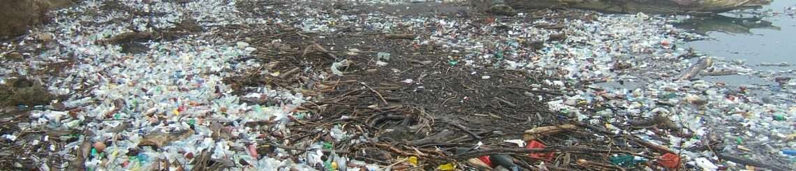 plastic pollution and marine litter on beach