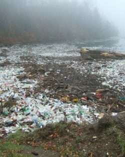 plastic pollution and marine litter on beach