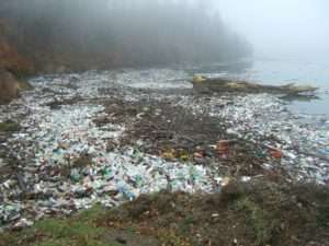plastic pollution and marine litter on beach
