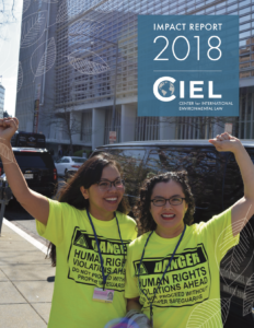 CIEL 2018 Impact Report