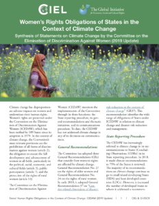 Read the report - Women's Rights Obligations of States in the Context of Climate Change: 2019 Update