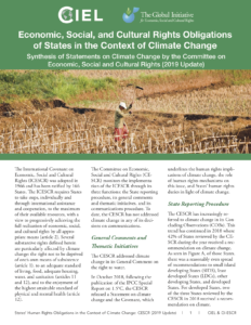 Read the report - Economic, Social, and Cultural Rights Obligations of States in the Context of Climate Change: 2019 Update