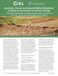 Read the report - Economic, Social, and Cultural Rights Obligations of States in the Context of Climate Change: 2019 Update