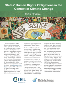 Human rights treaty body 2019 update report cover