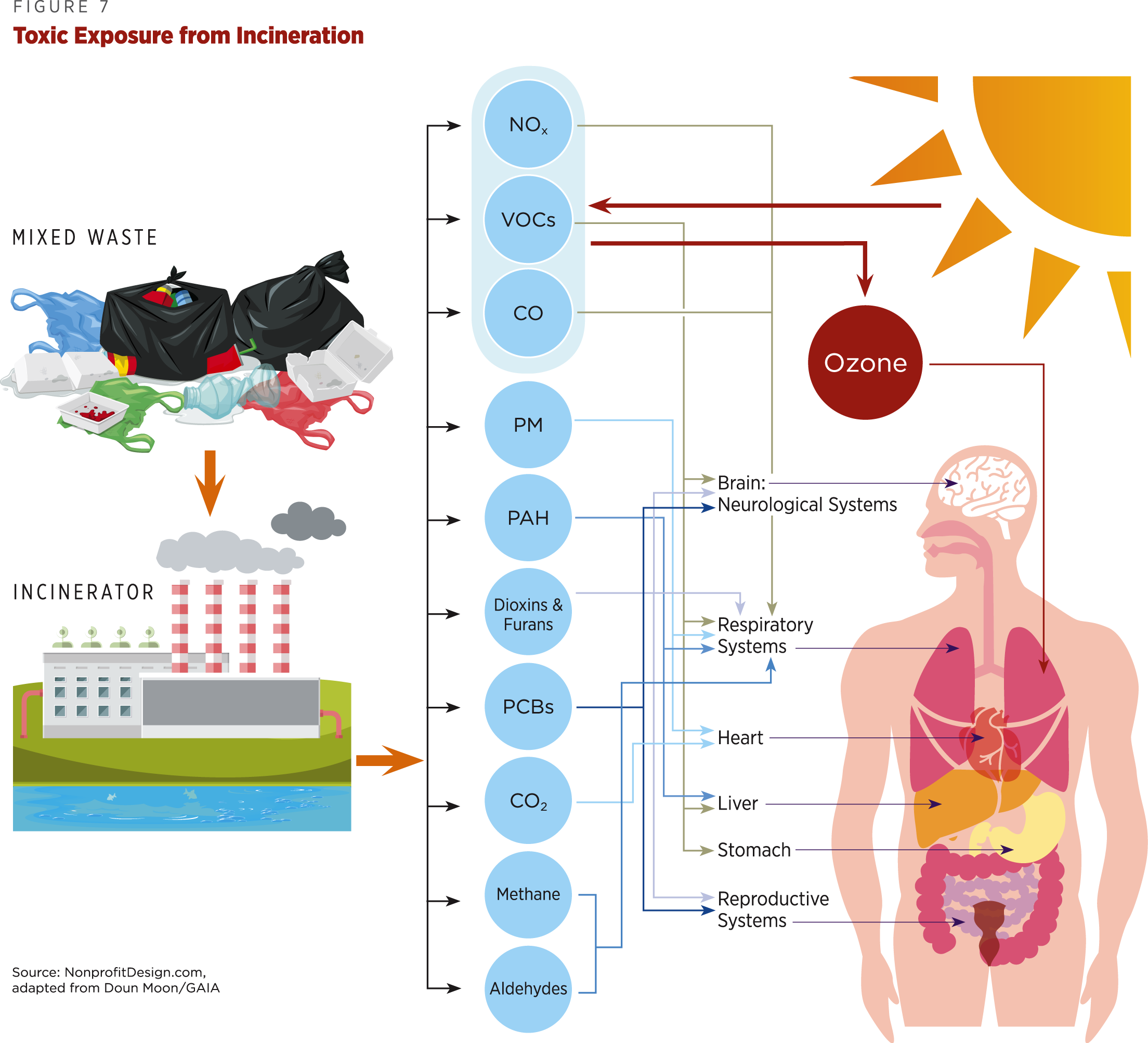 harmful effects of plastic on humans