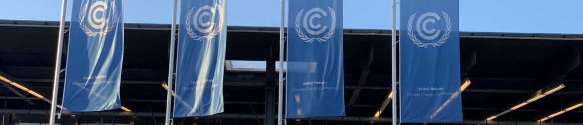 UN Flags, Bonn Germany