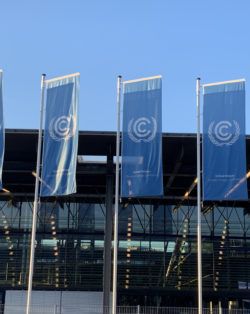 UN Flags, Bonn Germany