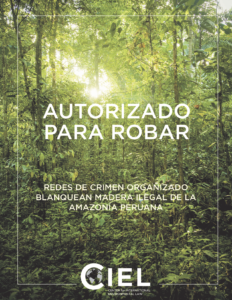 Autorizado para robar: Redes de crimen organizado blanquean madera ilegal de la Amazonía Peruana