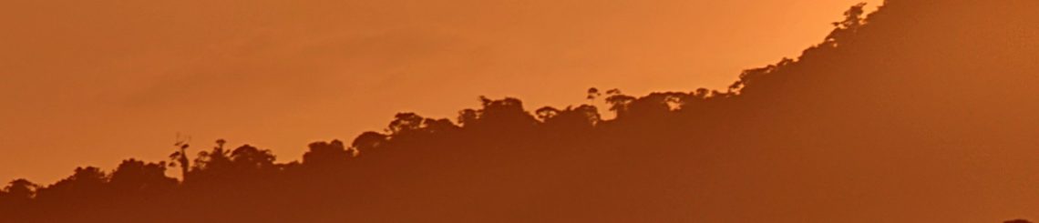 Guyana landscape at sunset
