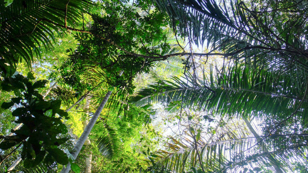 CIEL Experts Available to Comment on 63rd Session of IPCC, the UN Authority on Climate Science – Center for International Environmental Law | CIEL