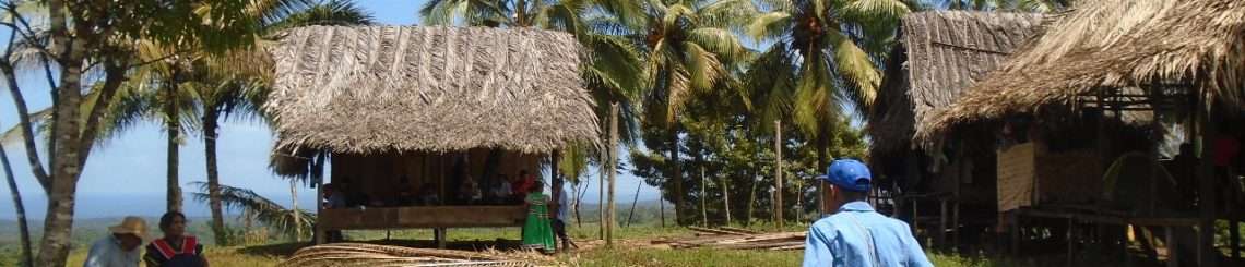 Photo from Panama, where the IFC is investigating whether the Fourth Transmission Line (PL IV) failed to properly consult with Indigenous Peoples