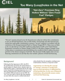 A scan of the cover of a report featuring a green forest and a set of smoke stacks. The title of the report is "Too Many (Loop)holes in the Net: Net-Zero promises ring hollow without "zero fossil fuel" pledges"