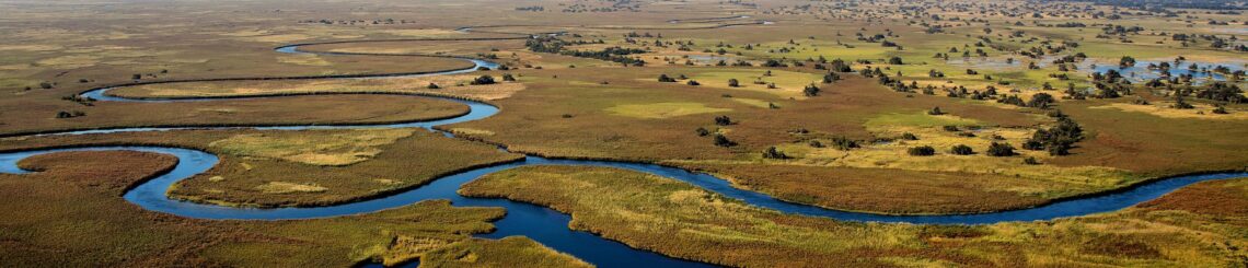 aerial view of a bright blue river winding through grasses in the Okavango Delta