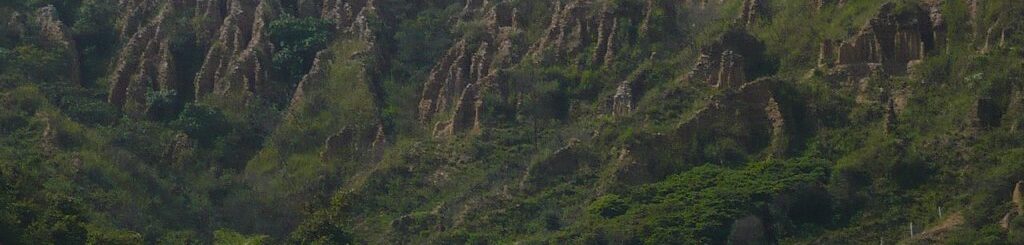 Rock formations surrounded by dense green forests.