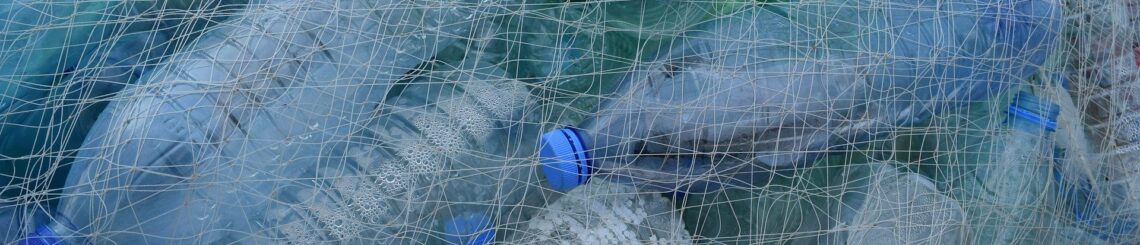 Empty plastic bottles are caught in netting.