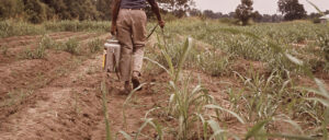 Image courtesy of National Archives at College Park, Public domain, via Wikimedia Commons