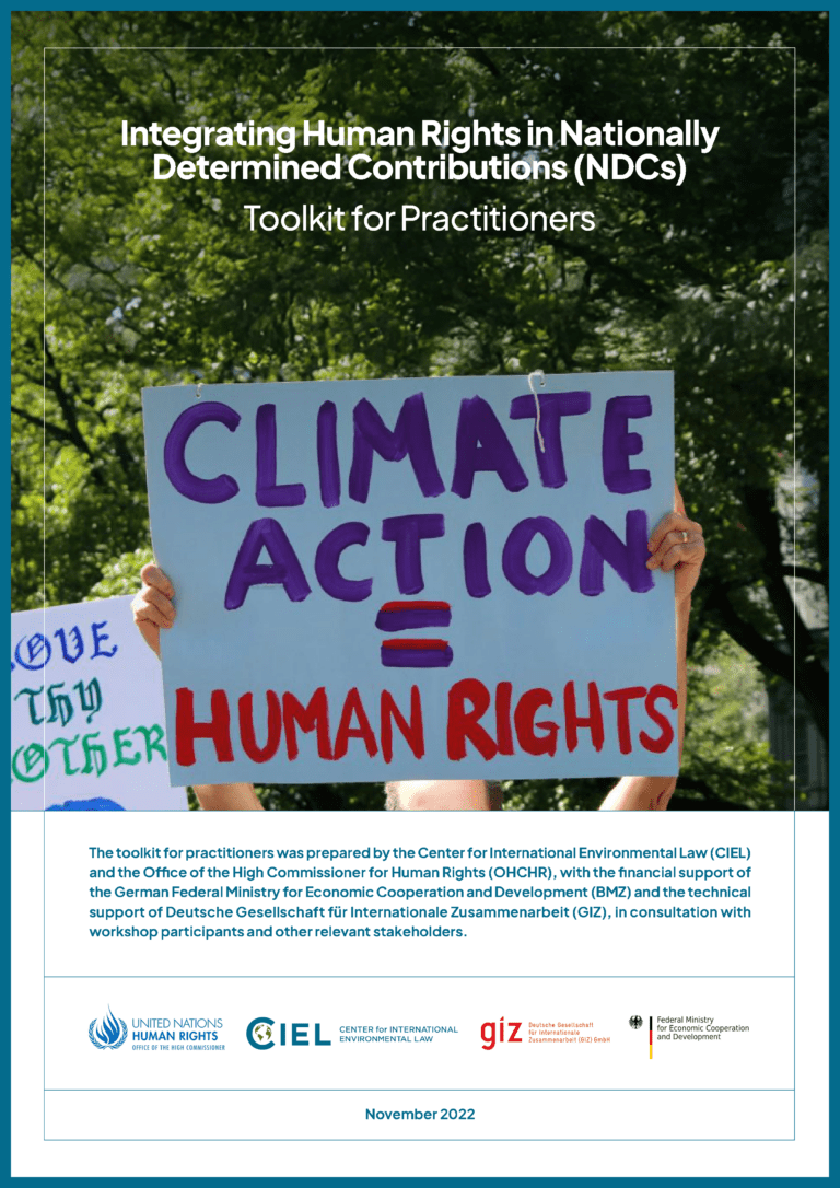 Research & Publications - Center for International Environmental Law