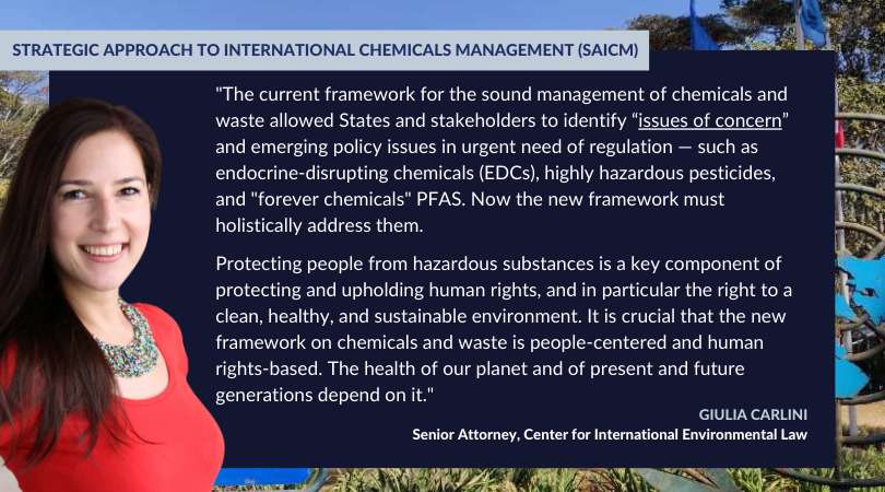 Middle for Global Environmental Regulation Personnel React to Developments Through the Newest Negotiations for a Harmful-Free Future