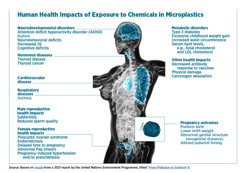 Infographic depicting the health impacts of exposure to chemicals in microplastics.
