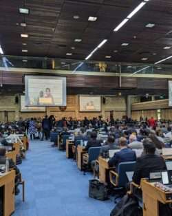 Large group of people gather in a conference hall at the UNEP compound. They are seated with their backs to the photographer.