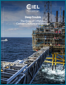 Cover of CIEL report, "Deep Trouble: The Risks of Offshore Carbon Capture and Storage."