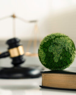 Green globe placed on top of a book and gavel.