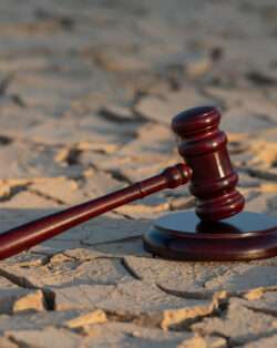 A judge's gavel resting on dry ground, symbolizing the legal system, climate change