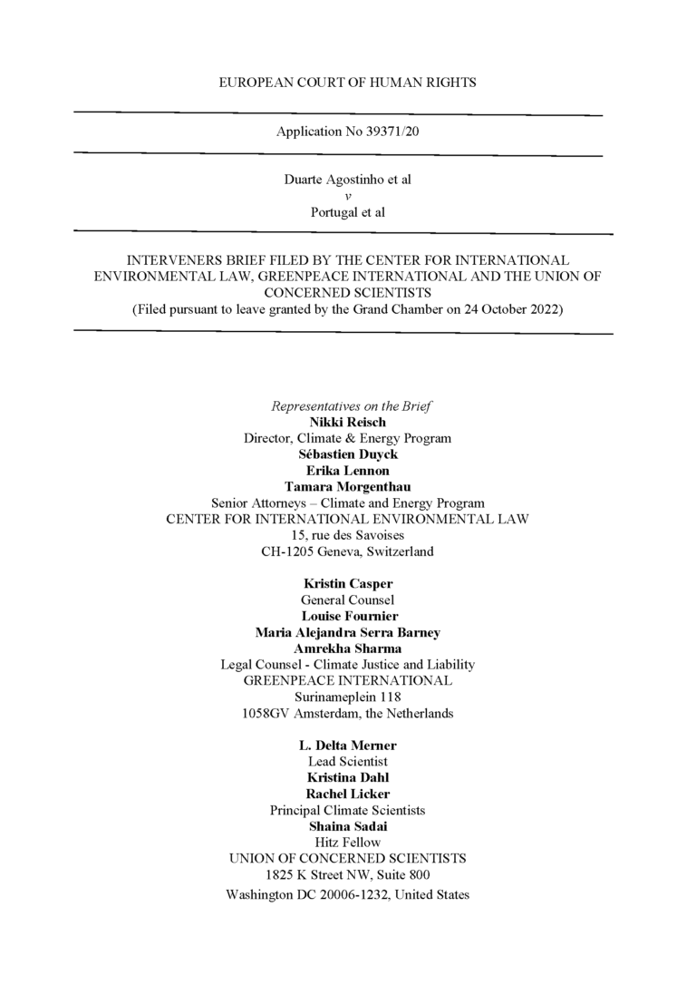 amicus-briefs-center-for-international-environmental-law