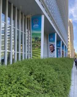 World Bank Building