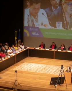 Delegation of environmental defenders speaks in front of the Inter-American Court of Human Rights in Manaus Brazil.