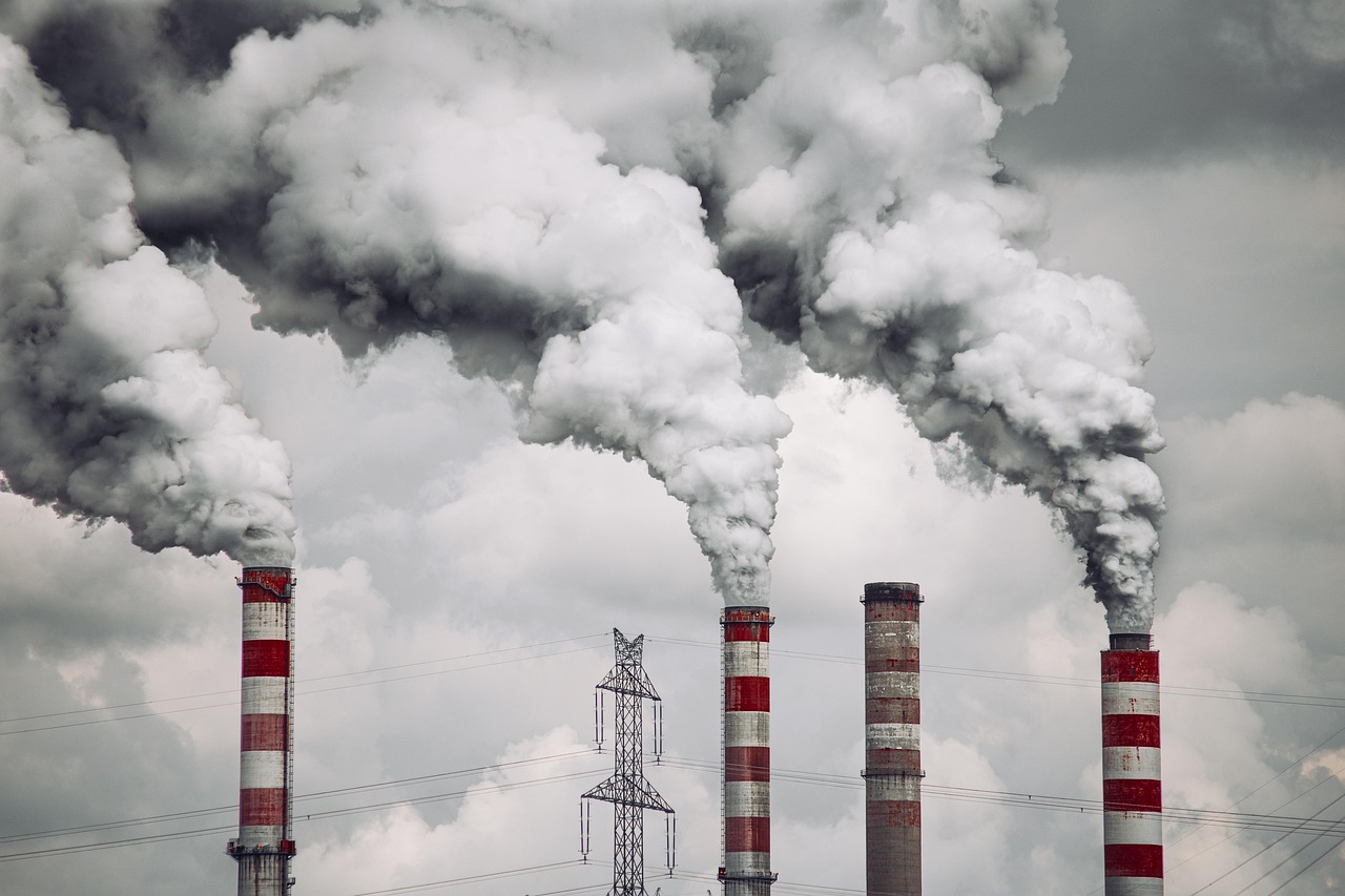 Más allá de la quema: por qué Santa Marta debe abordar el desarrollo petroquímico